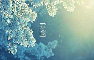 今日小雪 | 小雪雪满天，来年必丰年！